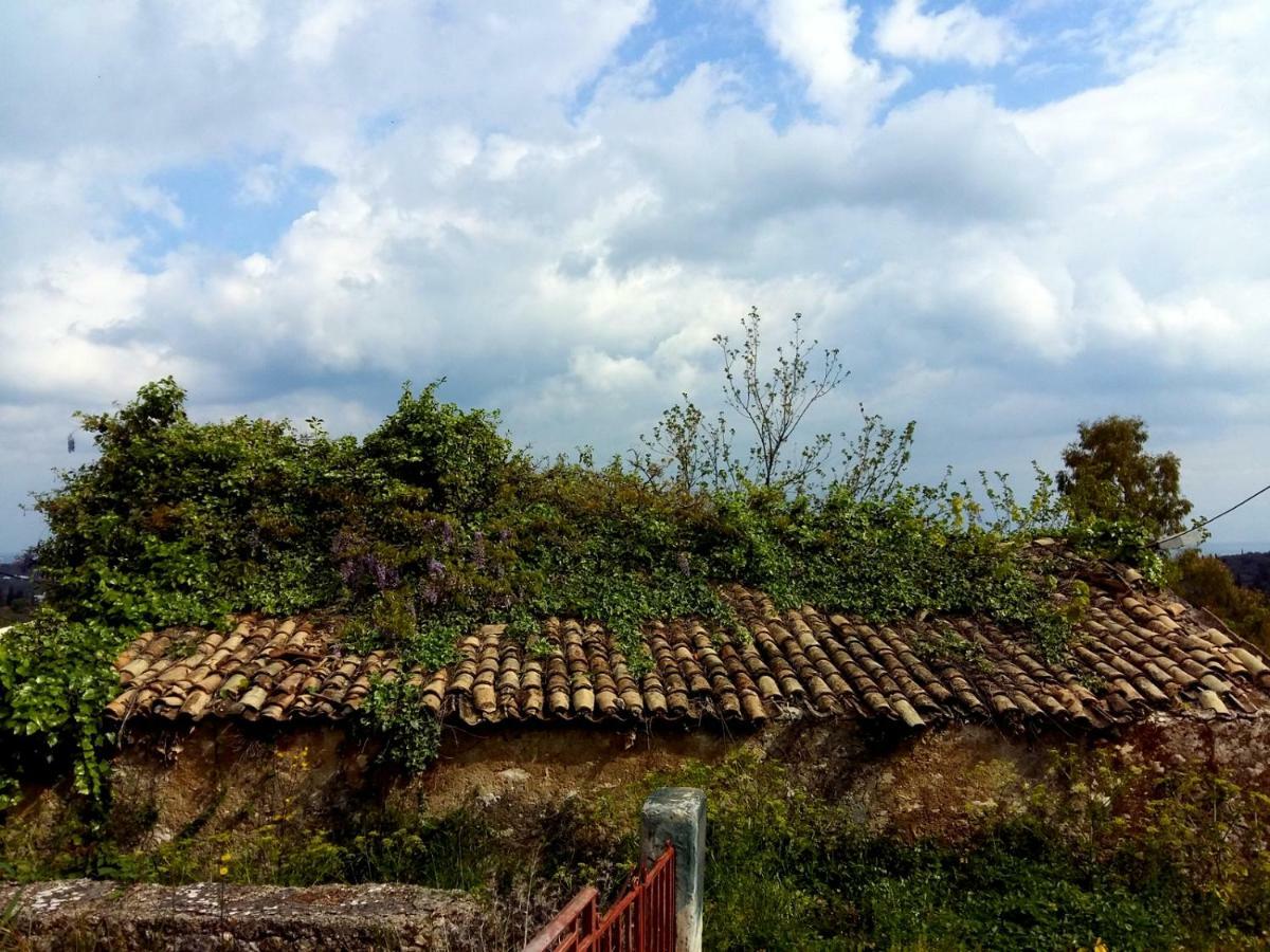 Hotel Katia'S Attic Acharavi  Zewnętrze zdjęcie